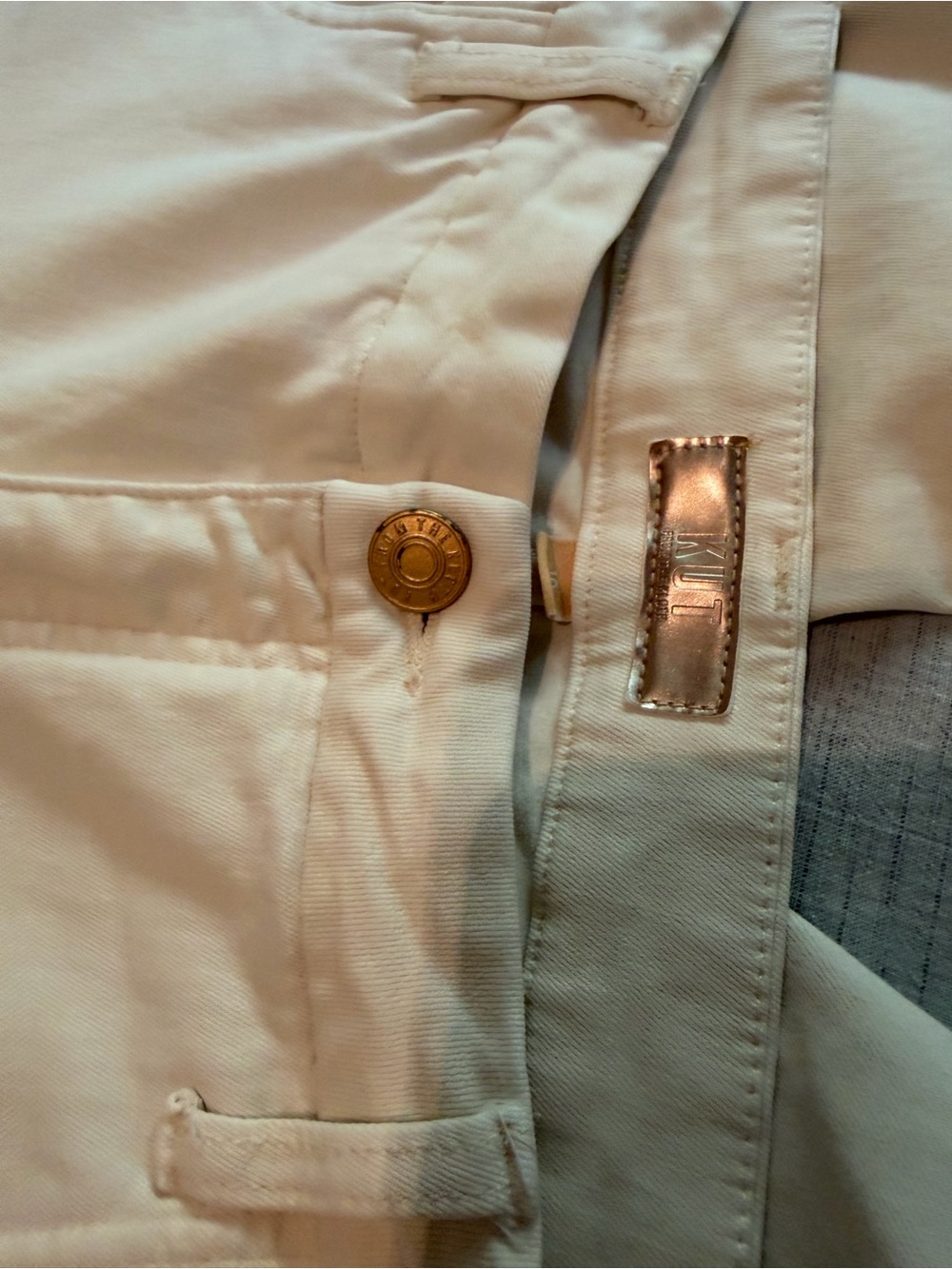 Kut from the Kloth Wide Leg Cargo Pants in Cream - Picture 3 of 3